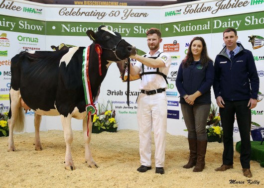 Confined Champion Clonpaddin RCU Jill 2 exhibited by Donal & Thomas Neville, Croagh, Co. Limerick led by Thomas Neville (pictured) with Sharon Magner and Shane Naughton, MSD Animal Health, sponsor.