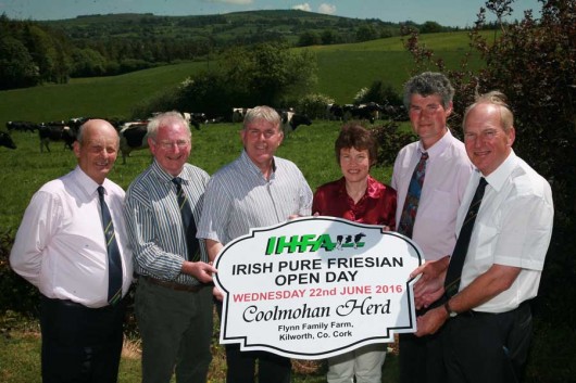 Pat-Flynn-pics-(02nd-June-'16)-083