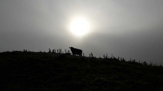 On-Top-of-the-World-