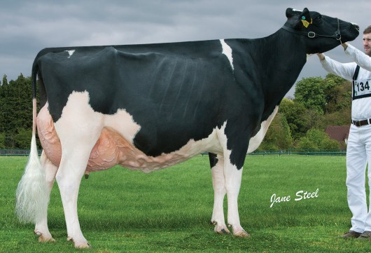 170429-14 Hallow Attic Christina [2264]rgb