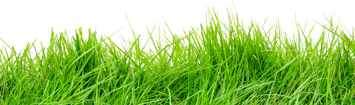 footer-Grass-new-one