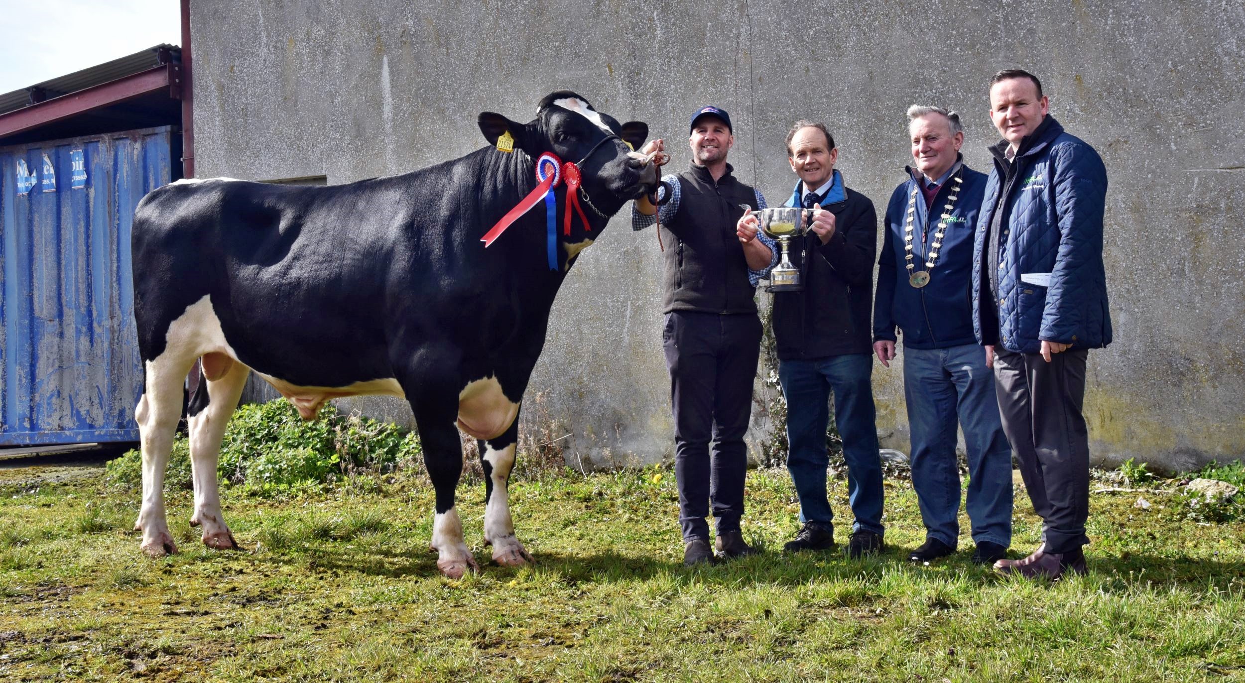 2023 Bull Show Champion - Montfarna Premiere with John O'Callaghan, Farnivane, Bandon (exhibitor), being presented with the trophy by John O'Sullivan, judge, and Richard Whelan, IHFA President and Laurence Feeney, CE IHFA. Photo: Martin Ryan